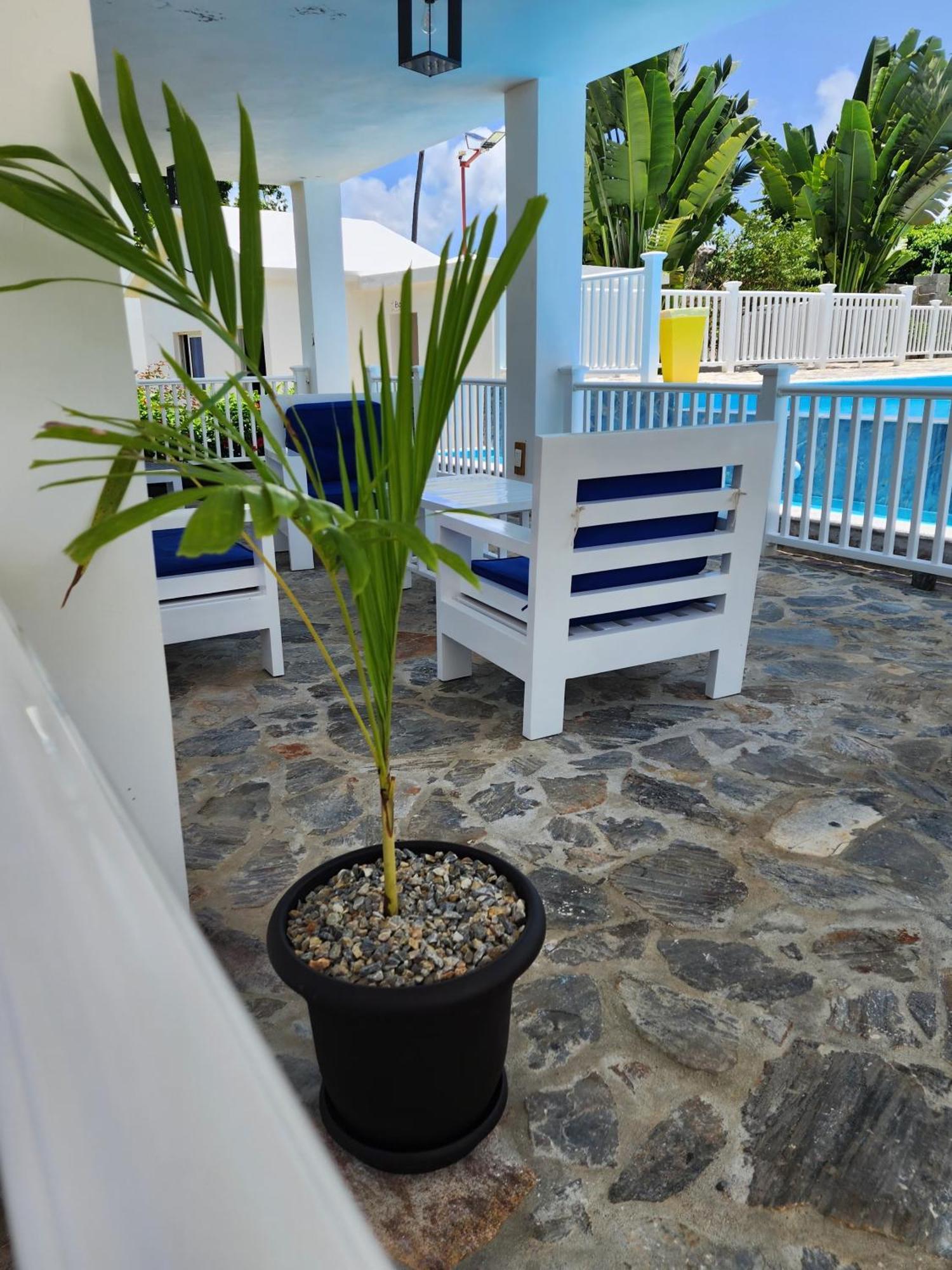 Bella Villa Room With Large Pool And Close To Beach Las Galeras Luaran gambar